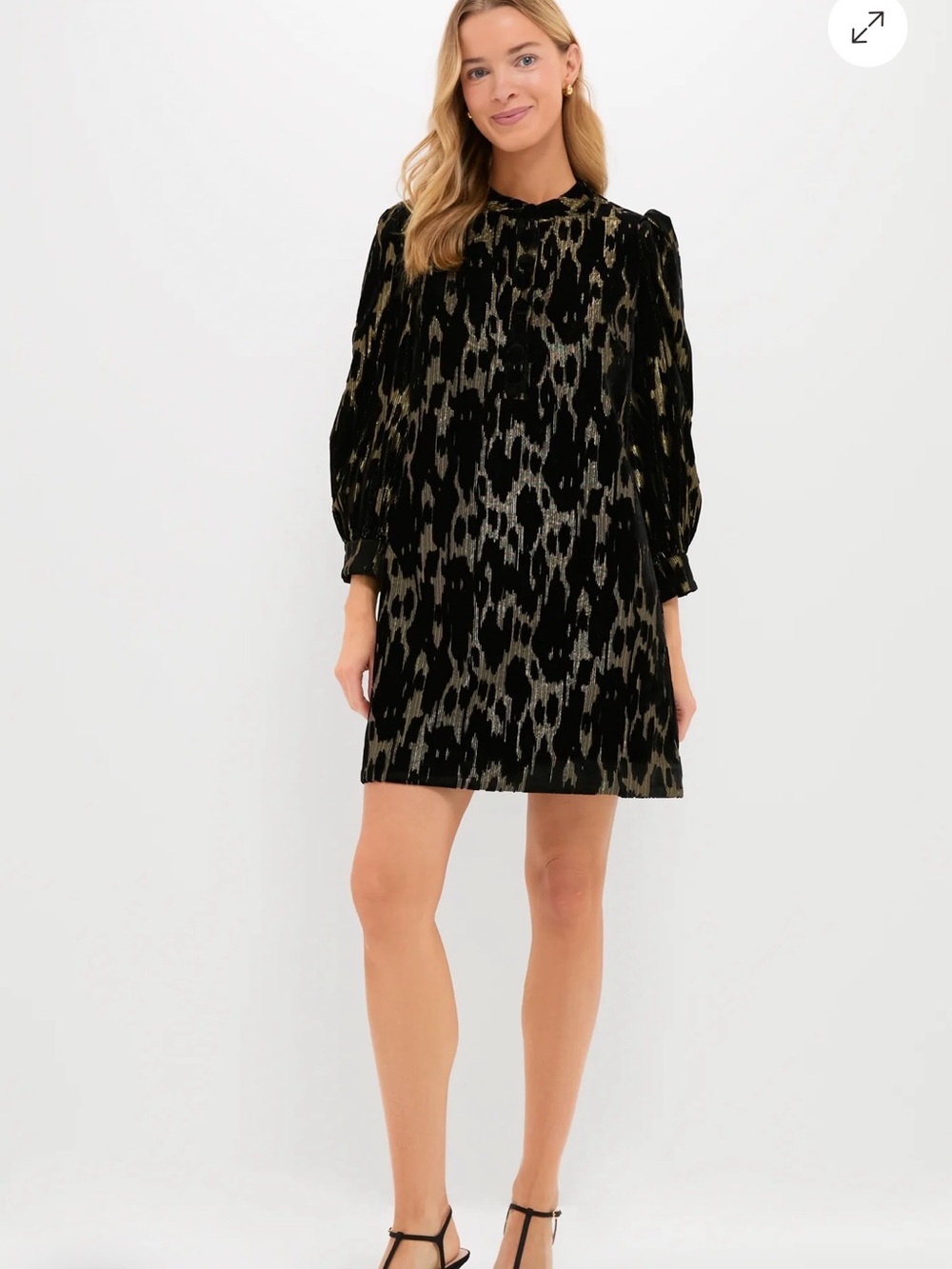 Pomander Place Metallic Velvet Burnout Samantha Dress